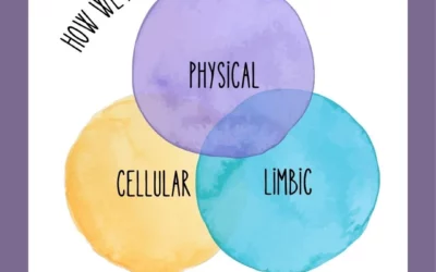 How We Heal… Addressing Cellular, Limbic & Physical Systems Together