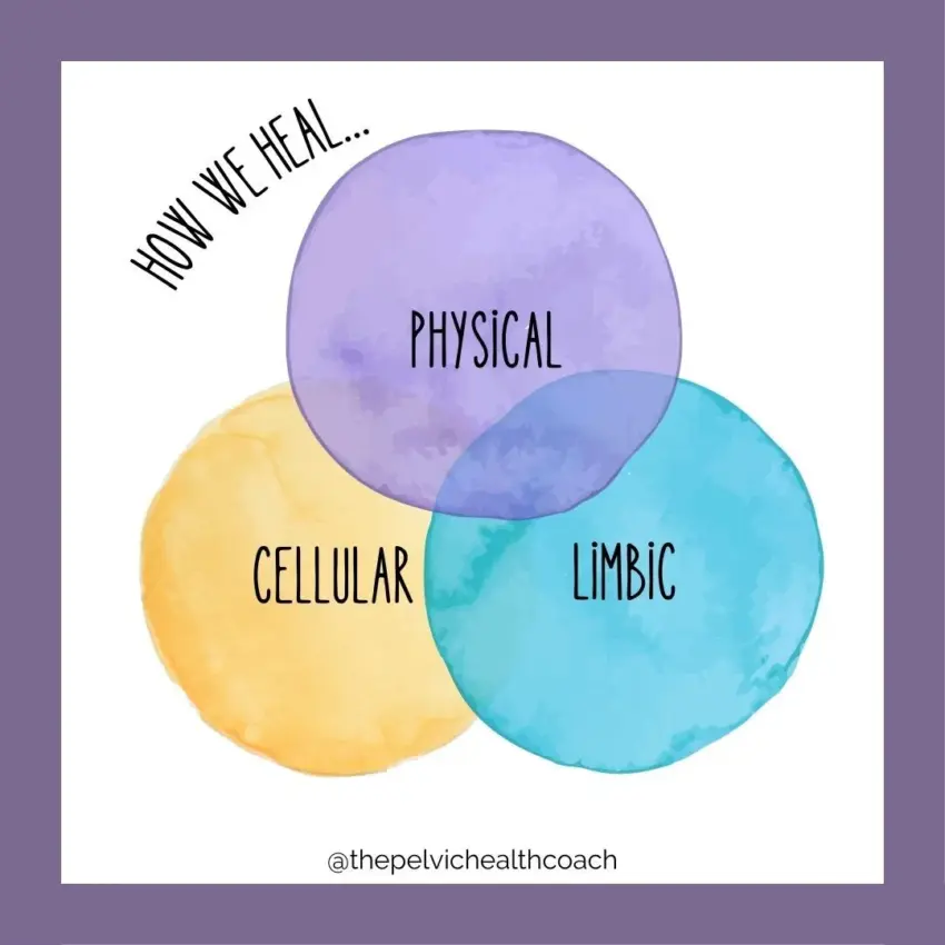 How We Heal… Addressing Cellular, Limbic & Physical Systems Together